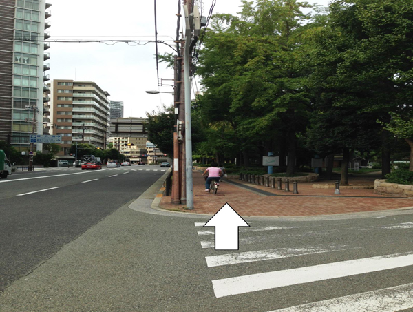 右側にうつぼ公園が見えてきます